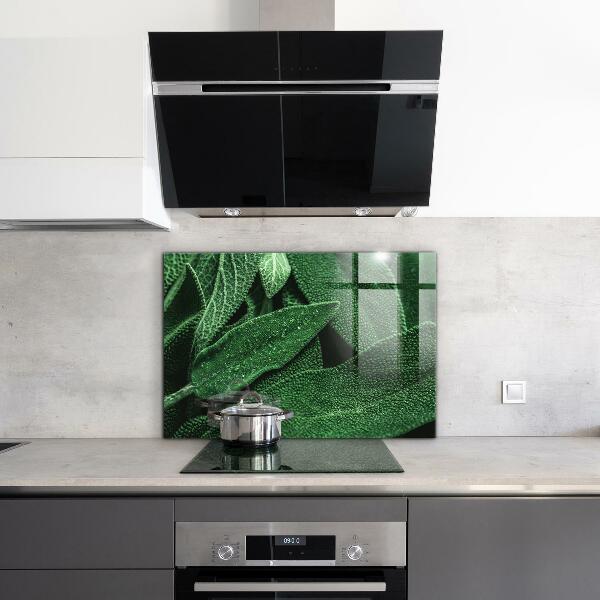 Zidna obloga za kuhinju Zeleni listi po dežju