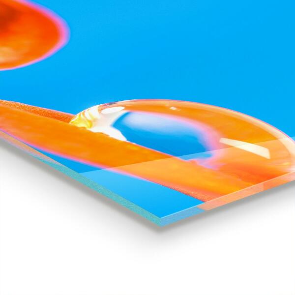 Zidna obloga za kuhinju Pomarančni cvet