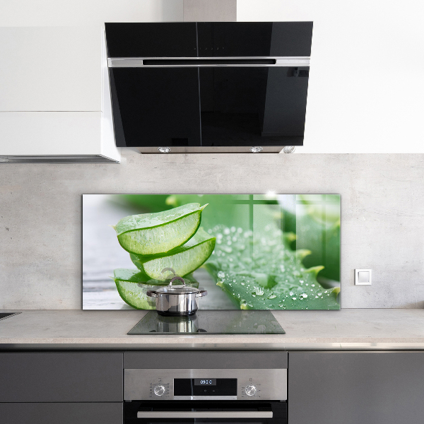 Zidna obloga za kuhinju Aloe rastlina aloe vera