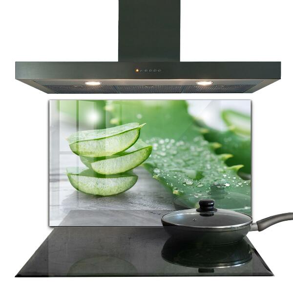 Zidna obloga za kuhinju Aloe rastlina aloe vera