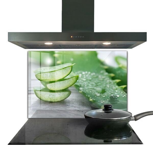 Zidna obloga za kuhinju Aloe rastlina aloe vera