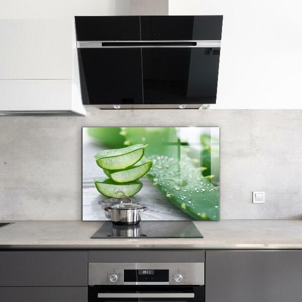 Zidna obloga za kuhinju Aloe rastlina aloe vera