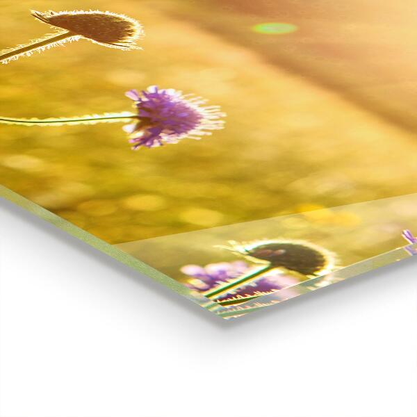 Zidna obloga za kuhinju Poletni cvetoči travnik