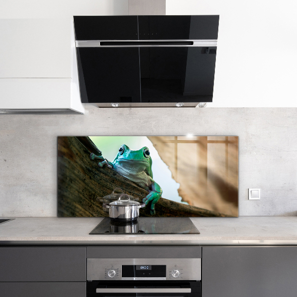 Stenska plošča za kuhinjo Radovedna žaba na listu
