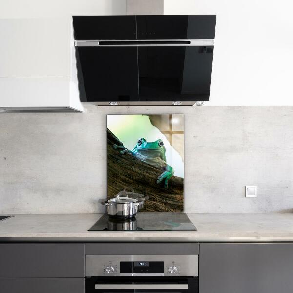Stenska plošča za kuhinjo Radovedna žaba na listu