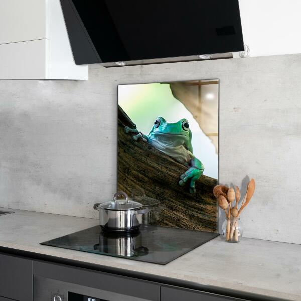 Stenska plošča za kuhinjo Radovedna žaba na listu