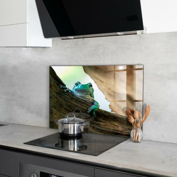 Stenska plošča za kuhinjo Radovedna žaba na listu