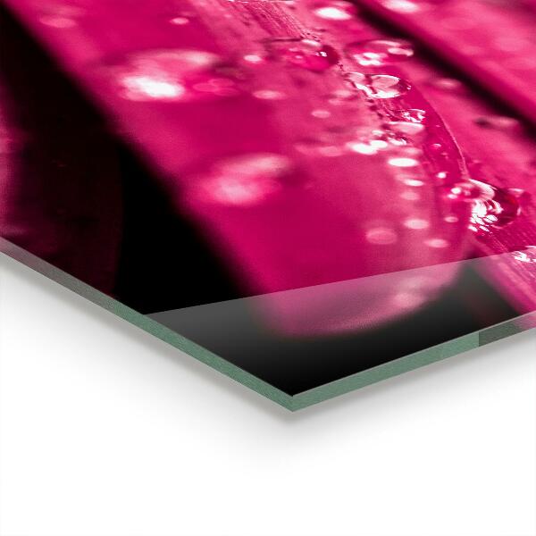 Zidna obloga za kuhinju Rožnata rastlinska roža