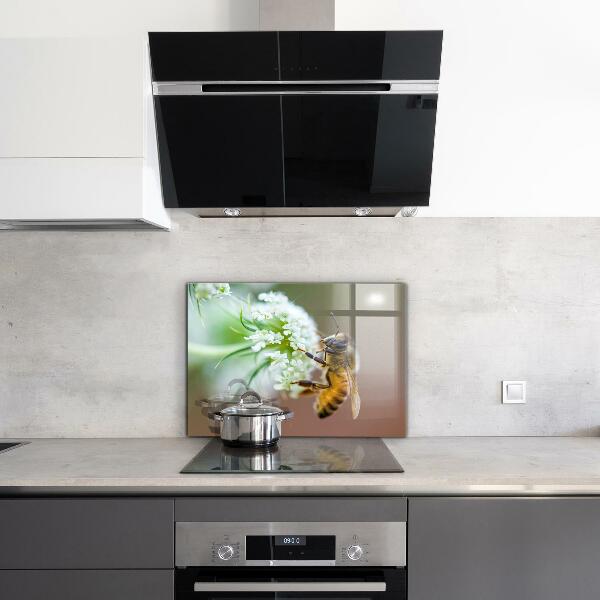 Stenska plošča za kuhinjo Čebela nabira cvetni prah