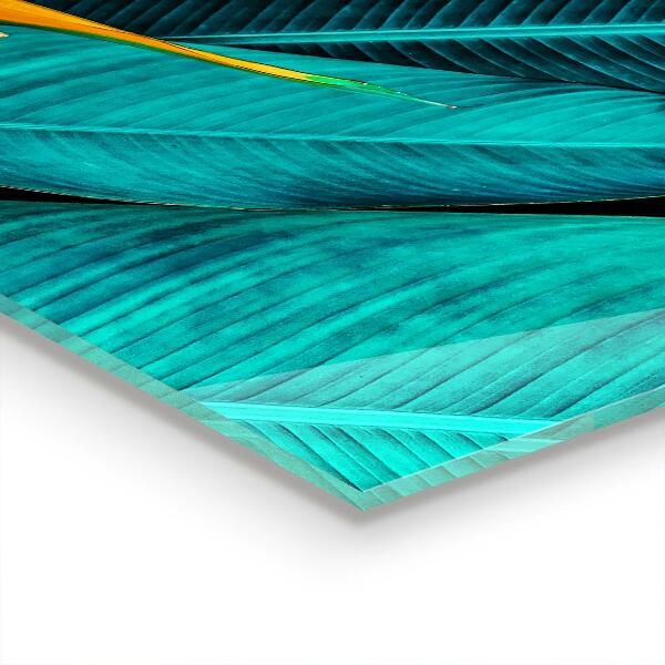 Zidna obloga za kuhinju Tropska eksotična roža