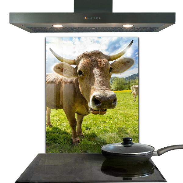 Stenska plošča za kuhinjo Podeželsko podnebje krowa pole