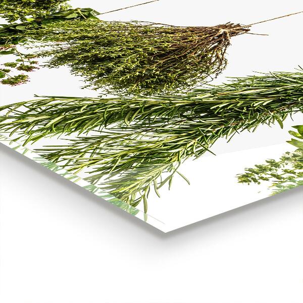 Zidna obloga za kuhinju Posušena zelišča zeliščna zdravila