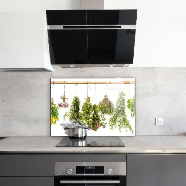 Zidna obloga za kuhinju Posušena zelišča zeliščna zdravila