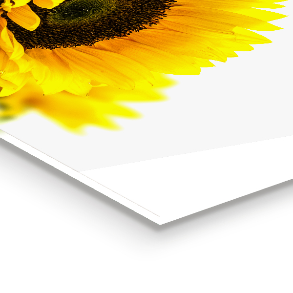 Stenska plošča za kuhinjo Poletni sončnični šopek