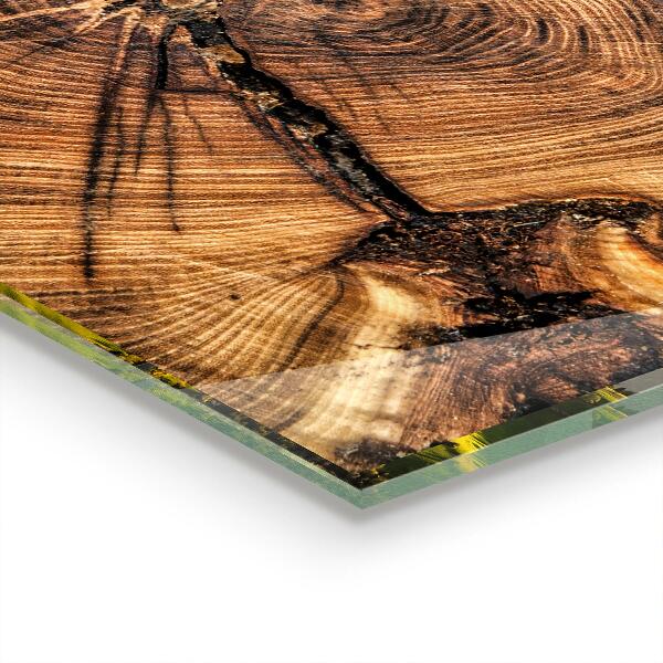 Stenska plošča za kuhinjo Tekstura trupa