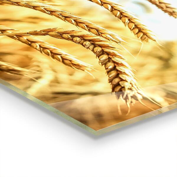 Stenska plošča za kuhinjo Žitni darovi matere narave