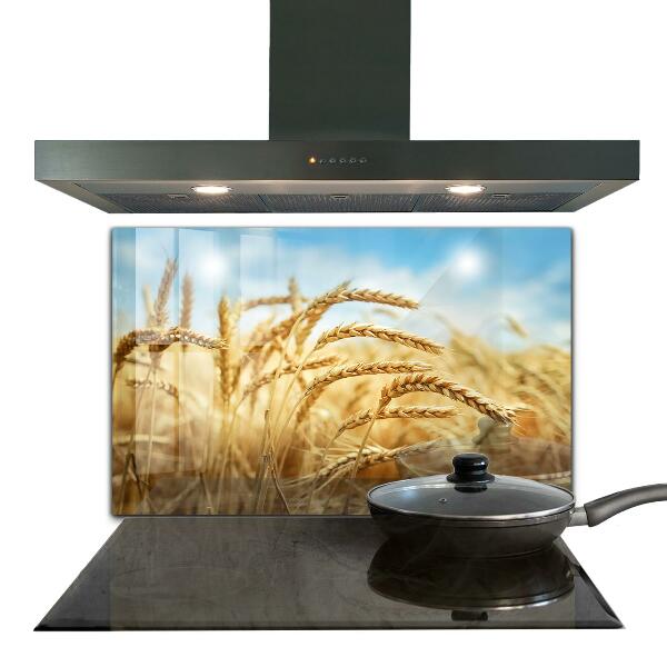 Stenska plošča za kuhinjo Žitni darovi matere narave