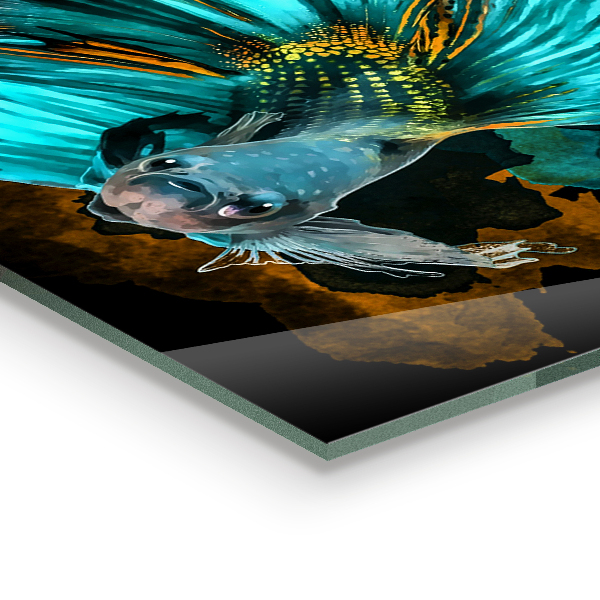 Stenska plošča za kuhinjo Tropske bojne ribe