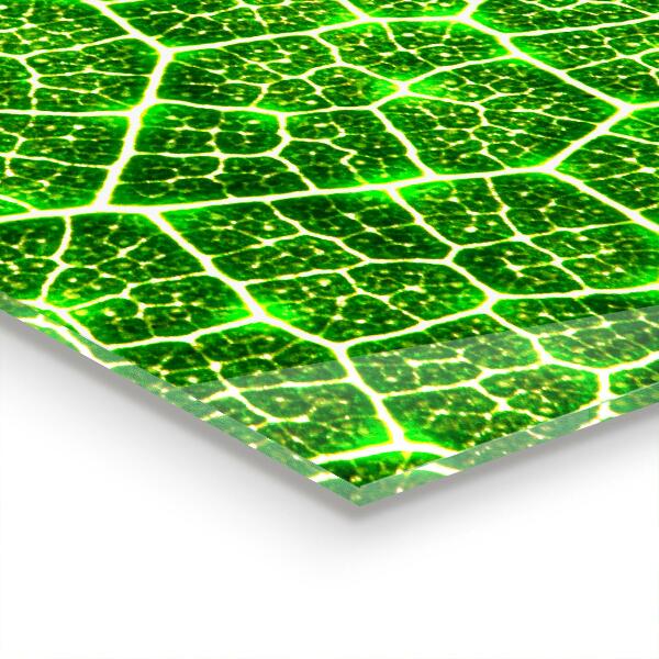 Stenska plošča za kuhinjo Moč zelene botanike