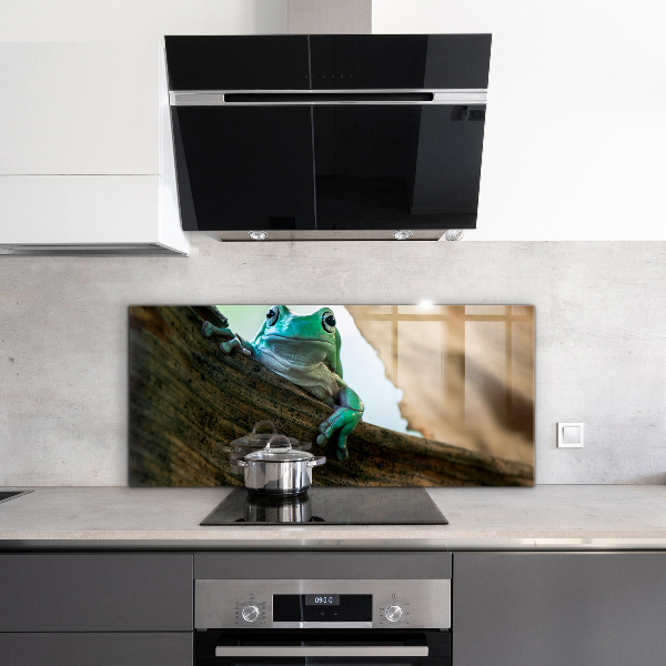Stenska plošča za kuhinjo Portret afriške žabe