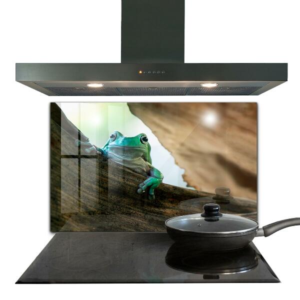 Stenska plošča za kuhinjo Portret afriške žabe