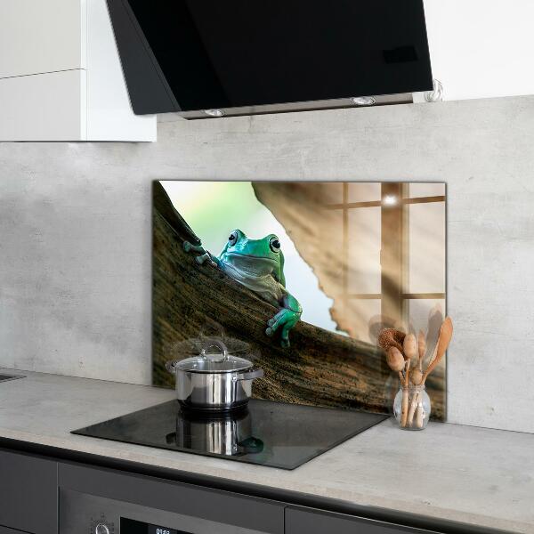 Stenska plošča za kuhinjo Portret afriške žabe