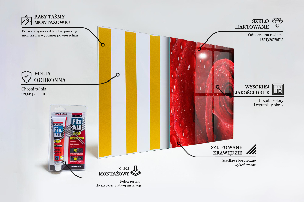 Zidna obloga za kuhinju Kaplje rose na rdeči vrtnici