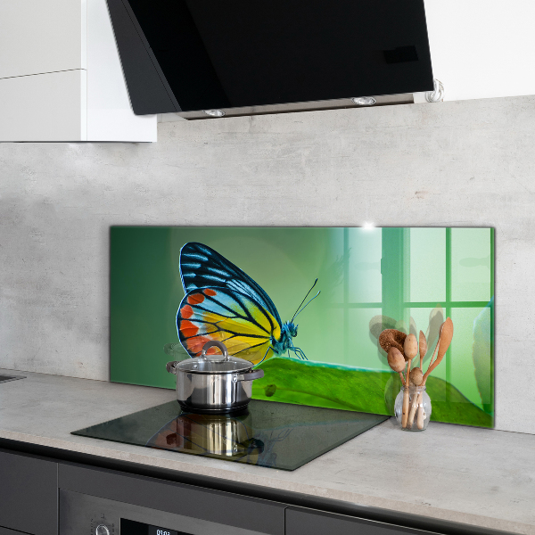 Stenska plošča za kuhinjo Metulj počiva na listu