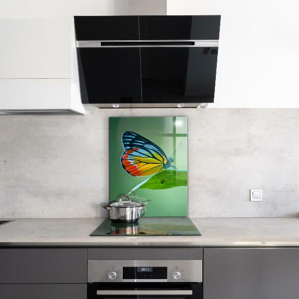 Stenska plošča za kuhinjo Metulj počiva na listu
