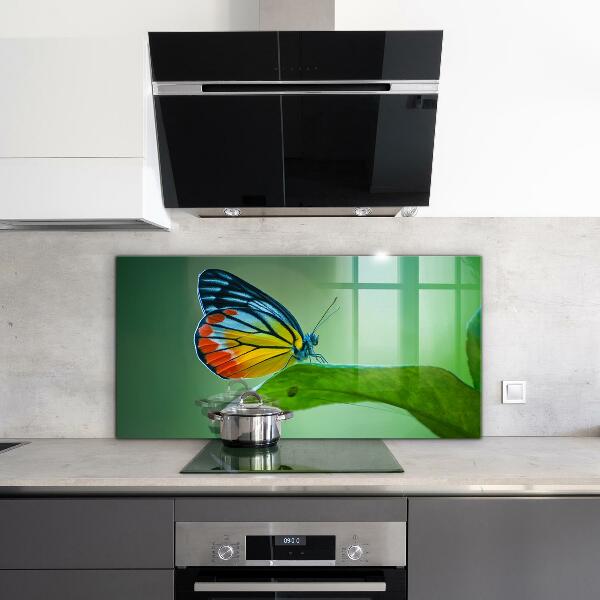 Stenska plošča za kuhinjo Metulj počiva na listu