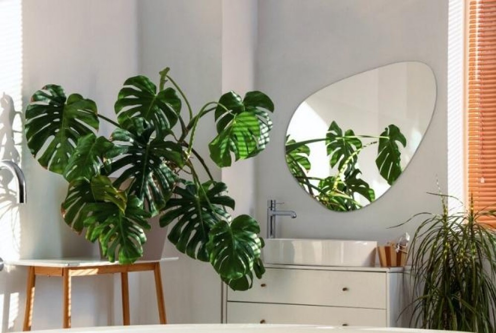 ogledalo za belo kopalnico